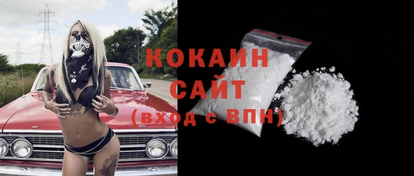 соль ск Алзамай
