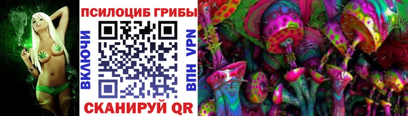 где можно купить наркотик  Пермь  Псилоцибиновые грибы Magic Shrooms 