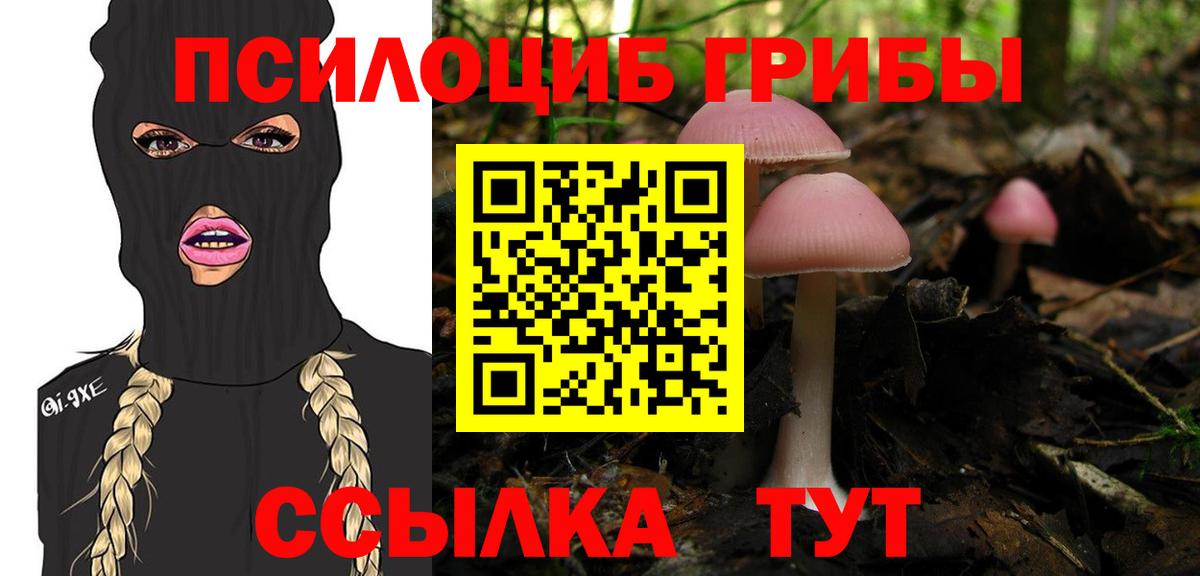 Галлюциногенные грибы GOLDEN TEACHER  Вход с VPN  Пермь  Галлюциногенные грибы Psilocybe 