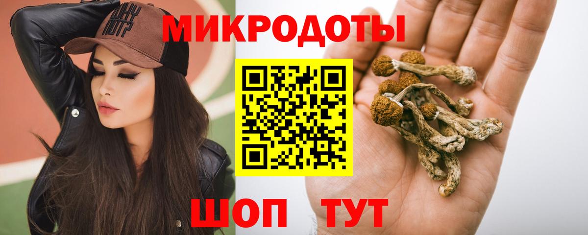 Псилоцибиновые грибы прущие грибы Пермь