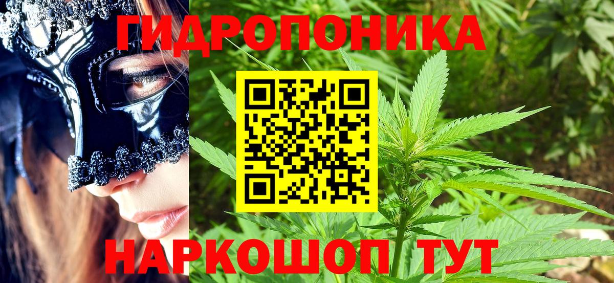 Марихуана сатива Пермь
